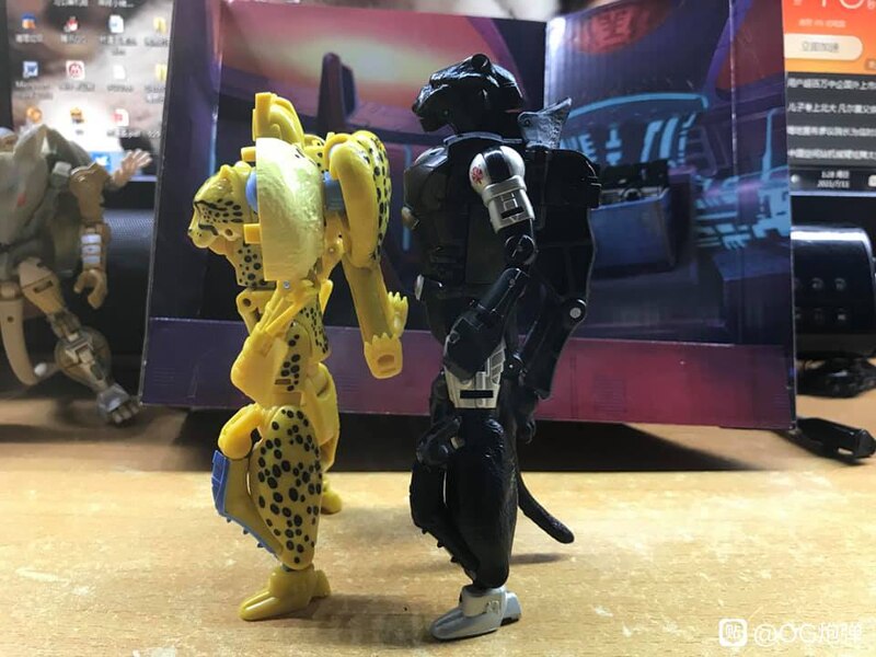 MORE Transformers Agent Ravage Images Cheetor Compared  (50 of 67)